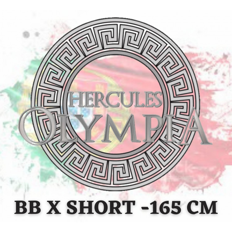 HO.25 BB X SHORT -165CM